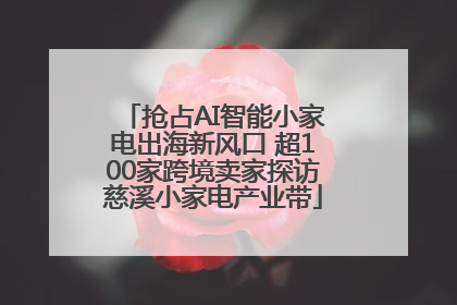 抢占AI智能小家电出海新风口 超100家跨境卖家探访慈溪小家电产业带